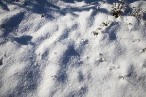 la nieve profunda se acumula después de la última nevada foto