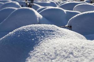 large snowdrifts after snowfalls and blizzards, the winter photo