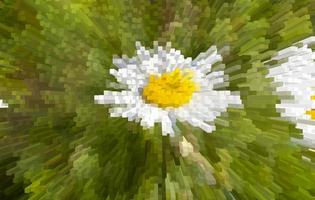 abstract background of different number of colors photo