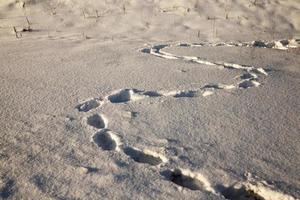 footprints on snowdrifts after walking photo