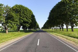 maple trees growing along the road photo