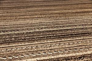 the plowed soil on which to grow cereal crops photo