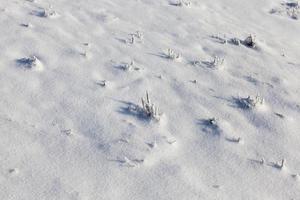 clima frío de invierno después de la nevada foto