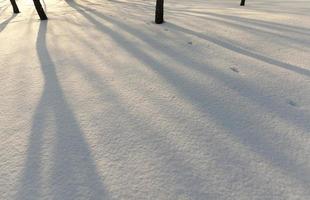 nevadas en la temporada de invierno y nieve blanca y esponjosa foto