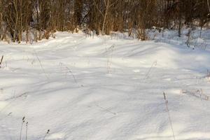 snowfall in the winter season and white fluffy cold snow photo