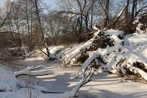 a small river whose water is frozen in winter photo
