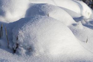 deep drifts of soft snow in the winter season photo