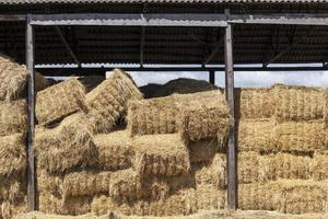 pressed square bales photo