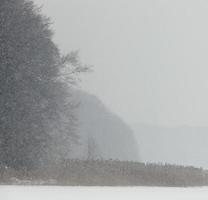 nieve en invierno foto