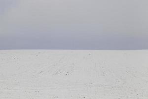 winter field and sky photo