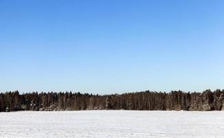 Snow drifts in winter photo