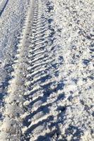 Traces on the snow , photo