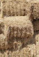 pressed square bales photo