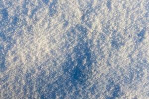 After snowfall, close up photo