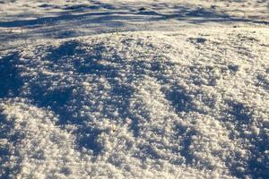 After snowfall, close up photo