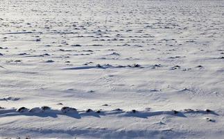 After snowfall, close up photo