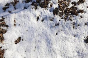 land covered with snow close up photo