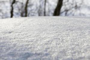 After snowfall, close up photo