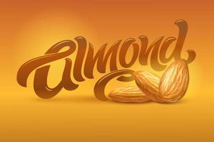 ALMOND lettering with realistic illustration of almonds on brown background. Vector illustration. Template for packaging design, print design, postcard, banner, label, poster, background.