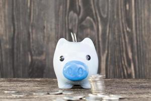 blue pig piggy bank photo