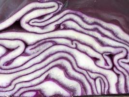 half-cut violet cabbage photo