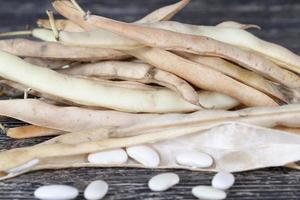 bean seeds, close up photo