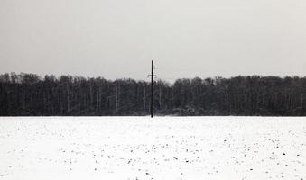 Snow drifts in winter photo