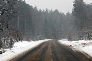 camino bajo la nieve foto