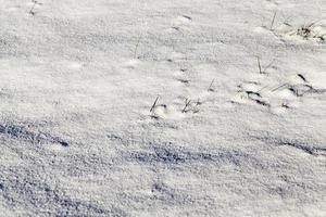 Snow drifts in winter photo