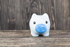 blue pig piggy bank photo
