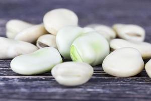 matured bean seeds photo