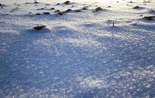 campo agricola en invierno foto