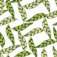 Simple tropical palm leaves seamless pattern. Linear exotic botanical texture. vector