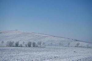 paisaje invernal con árboles y campo en época navideña helada. foto