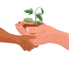 Adult's and child's hands hold the soil with the sprout isolated on the white background. An ecological and organic concept. Vector illustration