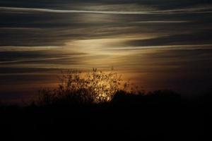 puesta de sol con cielo ardiente detrás de los árboles. foto