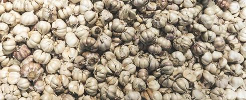 Garlic bulbs top view background. Selective focus. photo