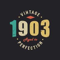 Vintage 1903 Aged to Perfection. 1903 Vintage Retro Birthday vector