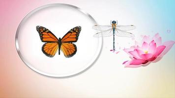 borboleta, libélula e flor de lótus, design de arte video