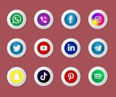 3D Popular Social Network Icon vector