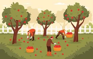 People Harvesting Apples In The Field vector