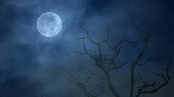 volle maan die 's nachts achter de boom opkomt video