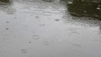 gotas de chuva na estrada video