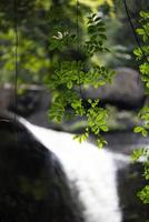 A natural waterfall in a big forest in the midst of beautiful nature. photo