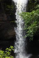 cascada en el gran bosque, hermosa en la naturaleza. foto