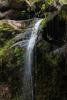 una cascada natural en un gran bosque en medio de una hermosa naturaleza. foto