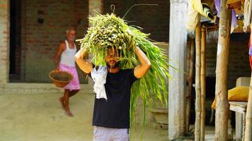 hijo de granjero trabajando en la granja foto