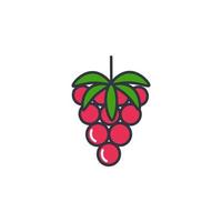 Raspberry color line icon vector illustration