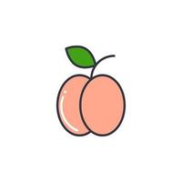 Peach line color icon vector illustration