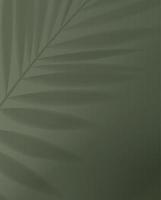 Tropical palm leaf shadow on light pastel background. vector illustration